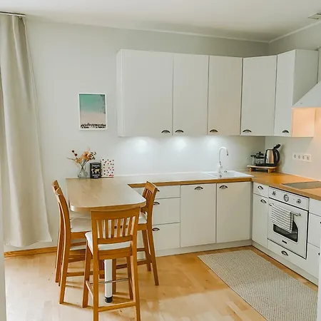 Suur-sepa Tn 2a With Terrace Apartment *